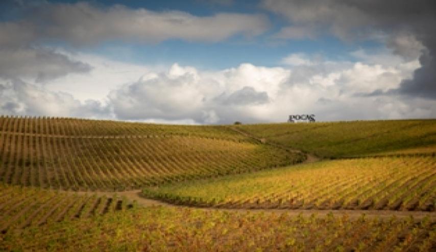 Concurso Internacional de Fotografia 2022