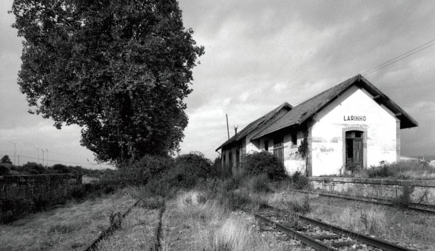 “Via Estreita”, de Carlos Cardoso